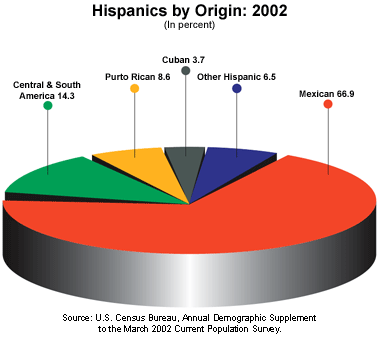 Traducción y transcreación en el mercado hispano Hispanic Origin